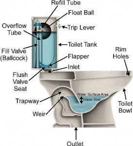 toilet-cut-out-diagram-274x300.jpg